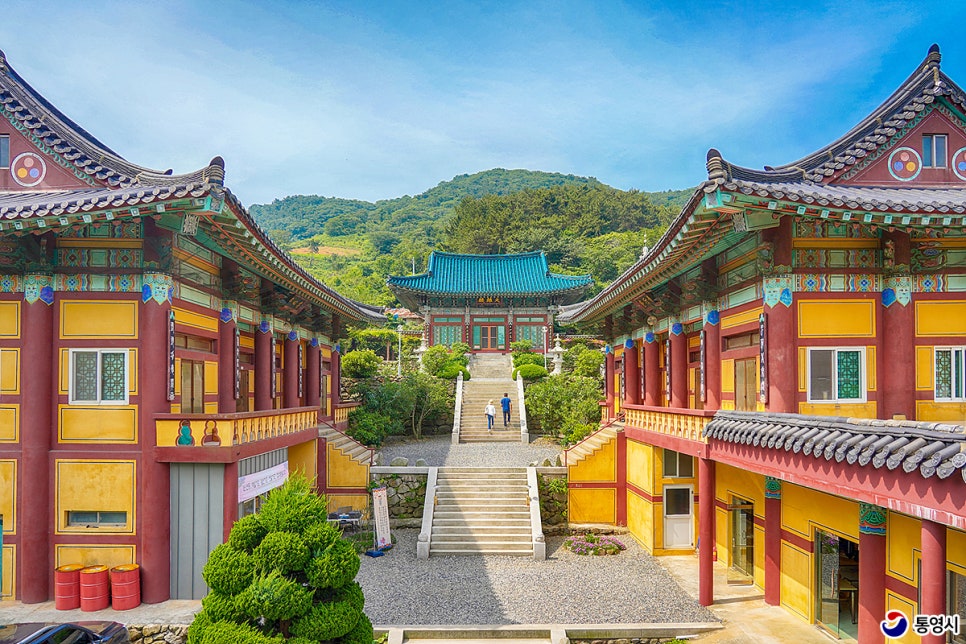 통영 연화도 수국