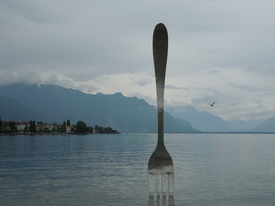 Fork