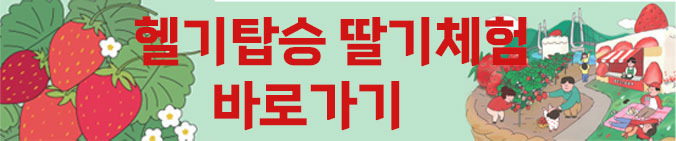 딸기축제
