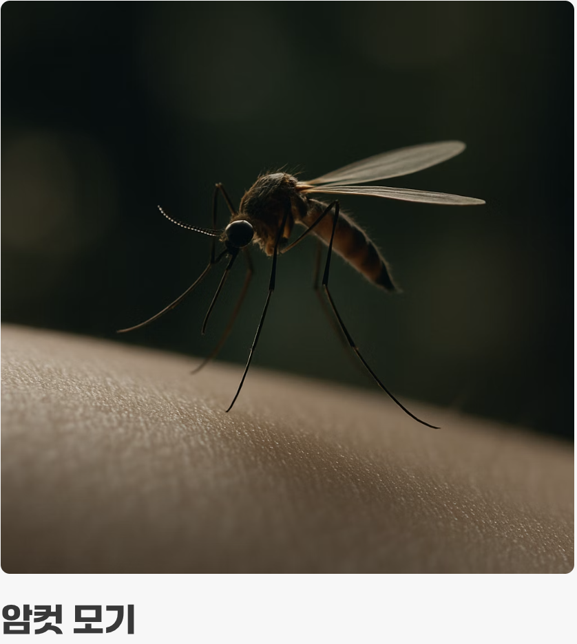 생활 방식의 차이&amp;#44; 만나는 장소가 다르다