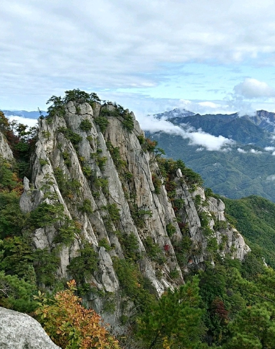 포천 운악산 구름길