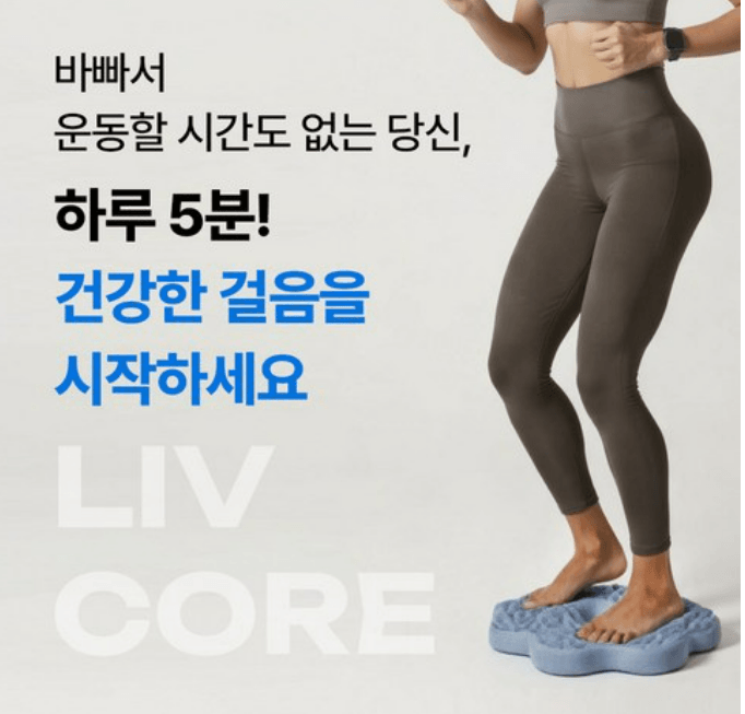 리브코어 가정용 에어 지압 스텝퍼