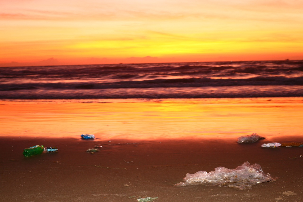 플라스틱 오명 이미지 3