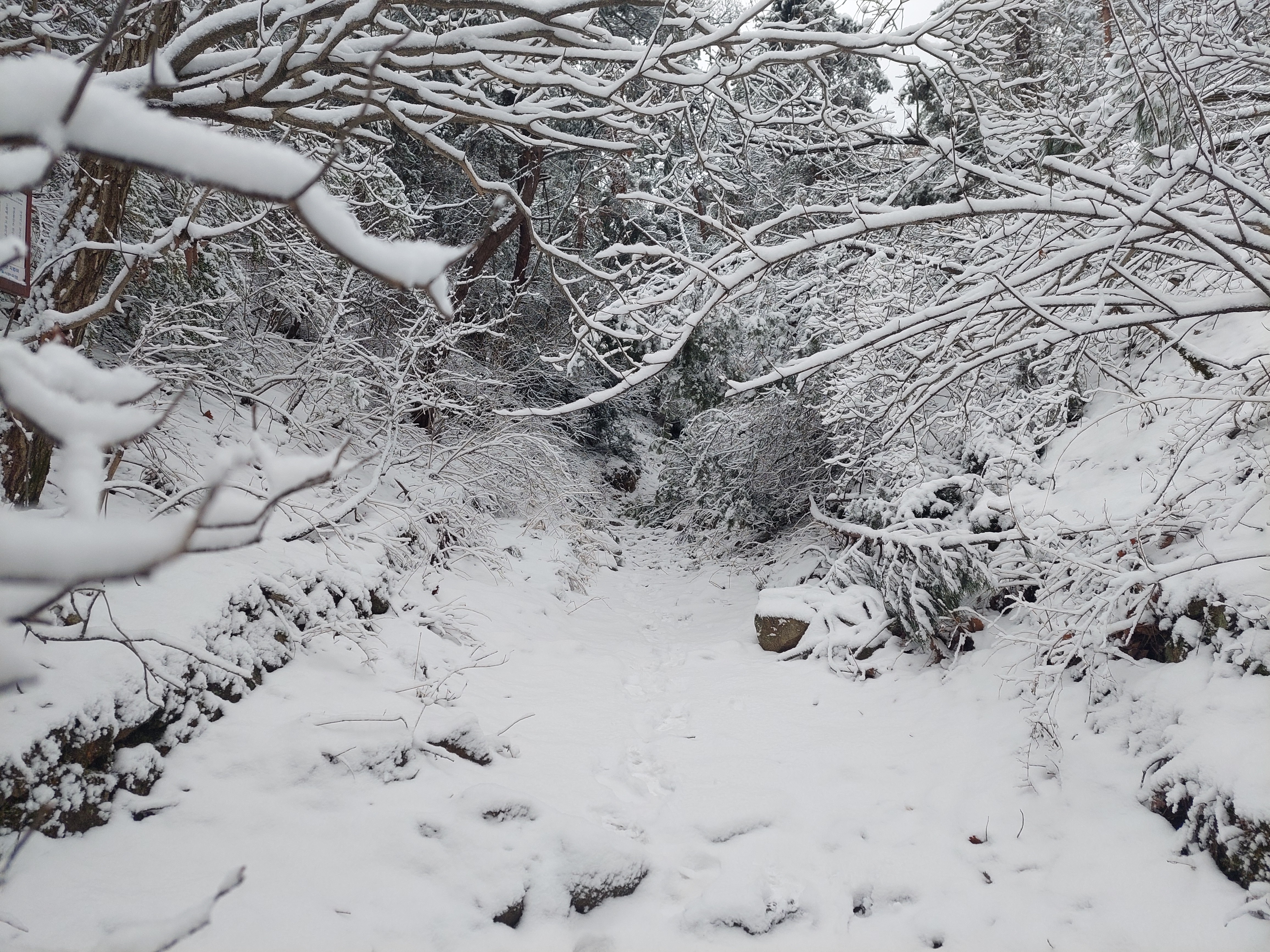 관악산