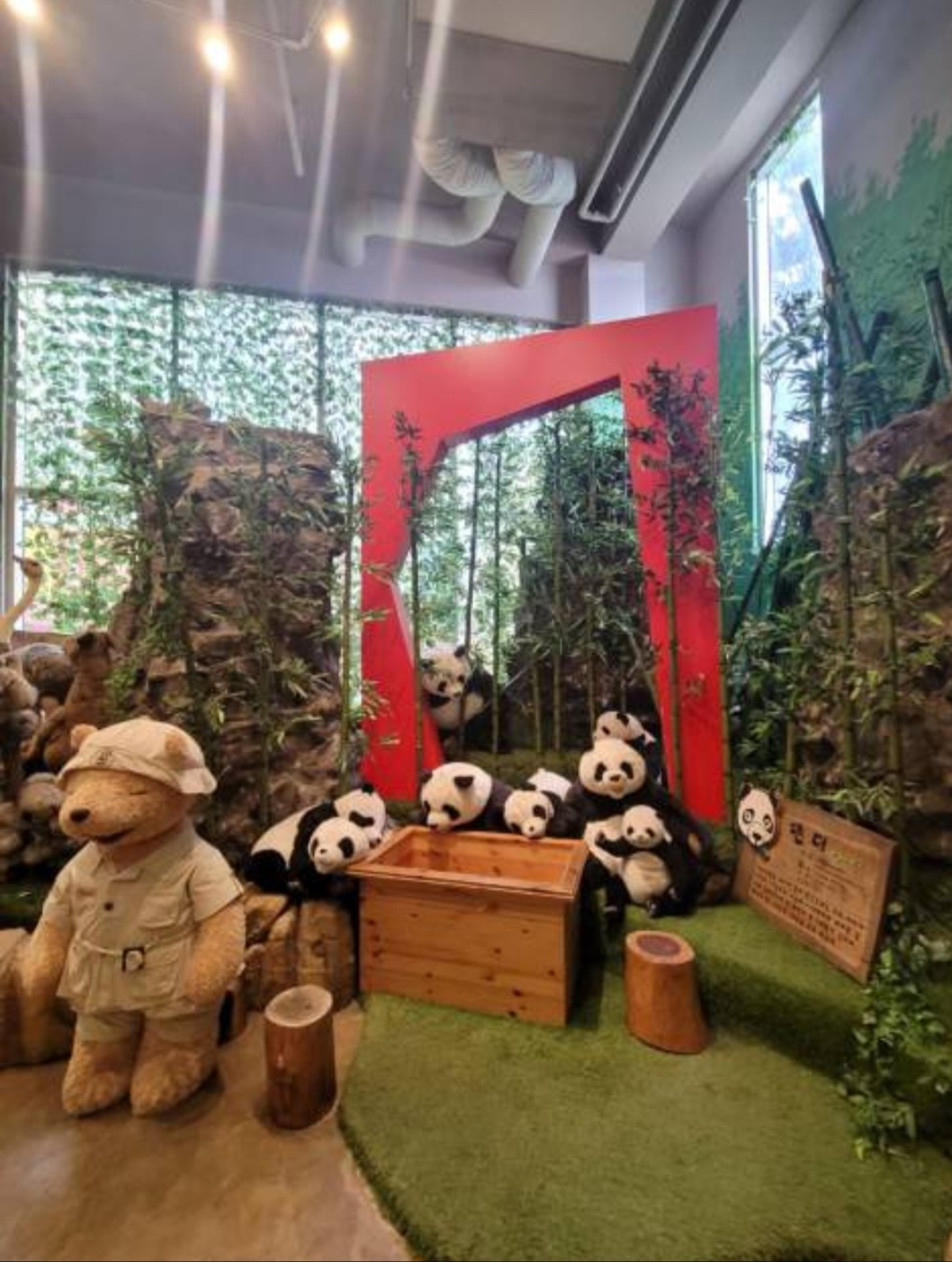 제주도 아이와가볼만한곳 (테디베어하우스)