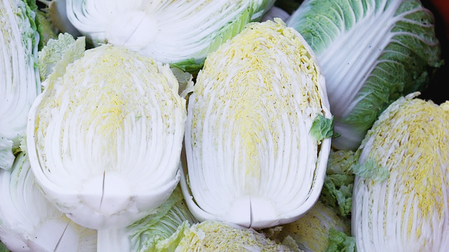 ํด๋จ ์ ์๋ฐฐ์ถ ์์ฝ