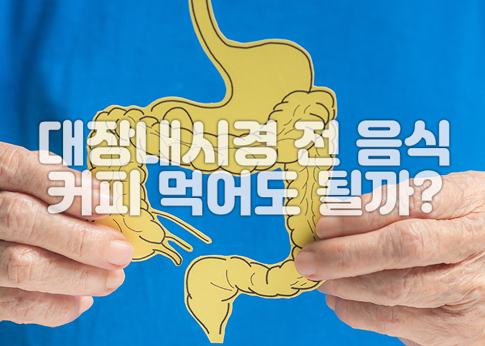 대장이 그려진 그림을 사람이 양손으로 들고 있다