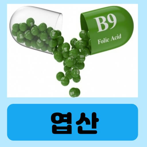 엽산