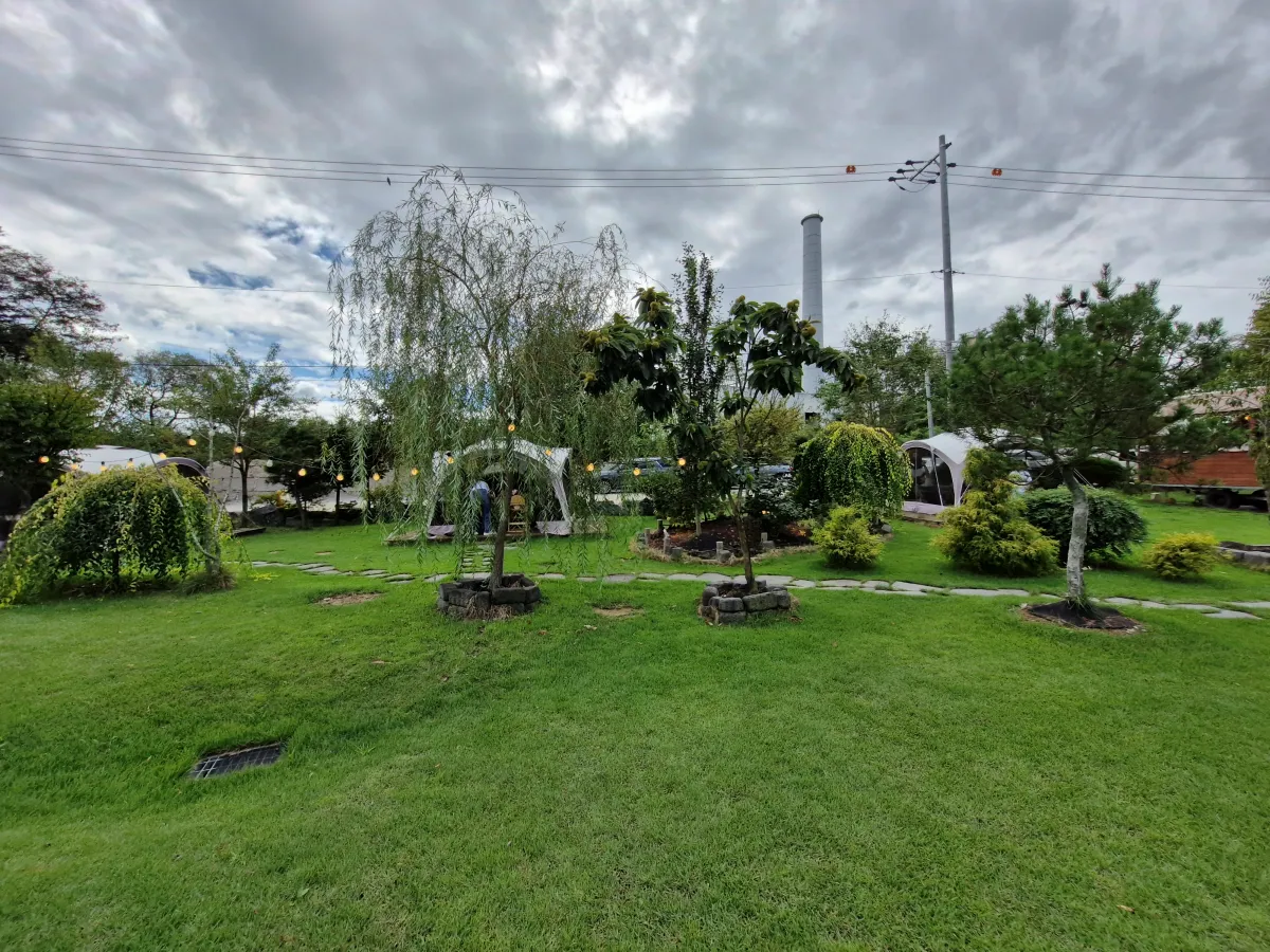 카페-앞-초록색-단지가-멋지게-깔려있다