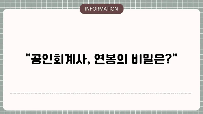 공인회계사의 주요 업무