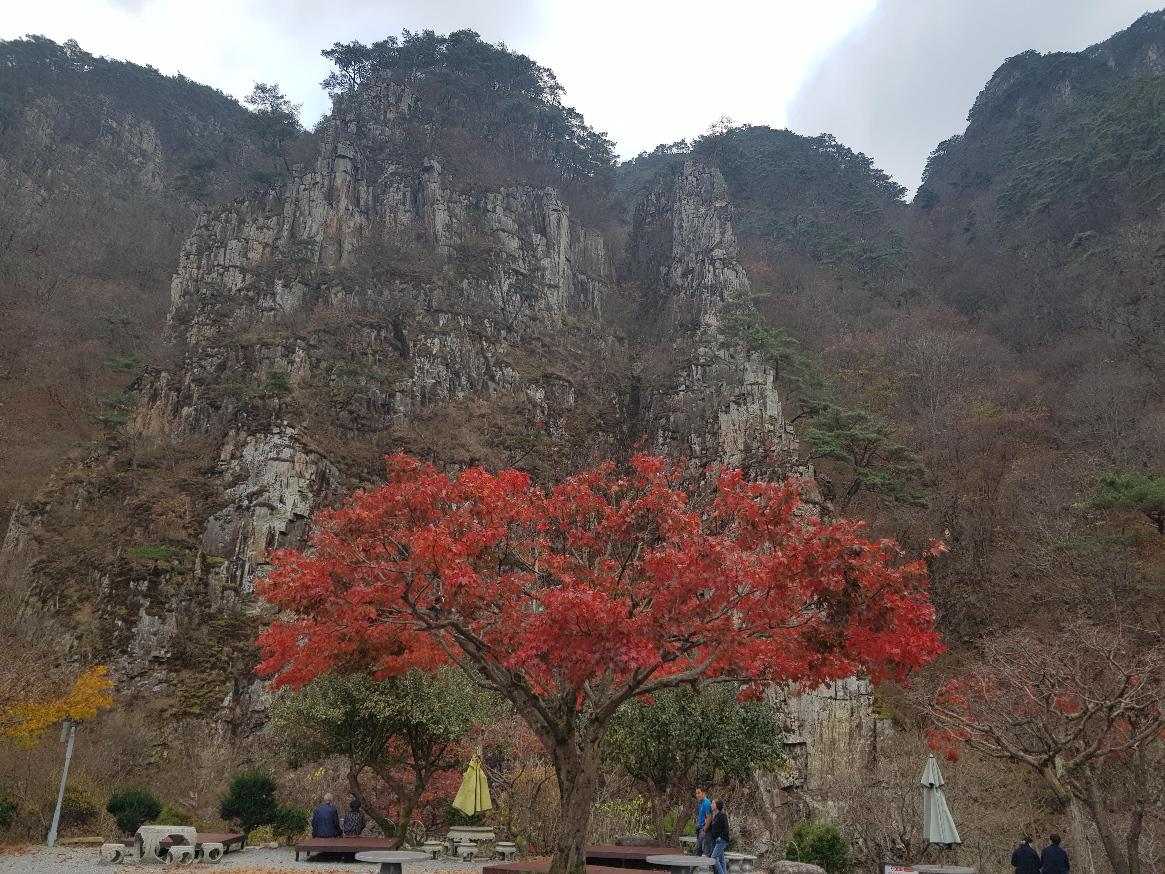 2026 해랑 열차 예약방법.코스.비용 총정리