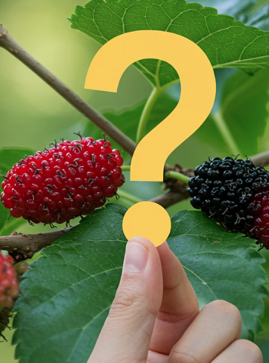 자주 묻는 질문 (FAQ)