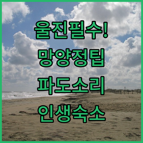 울진 여행 망양정 전망대 주차 정보와..