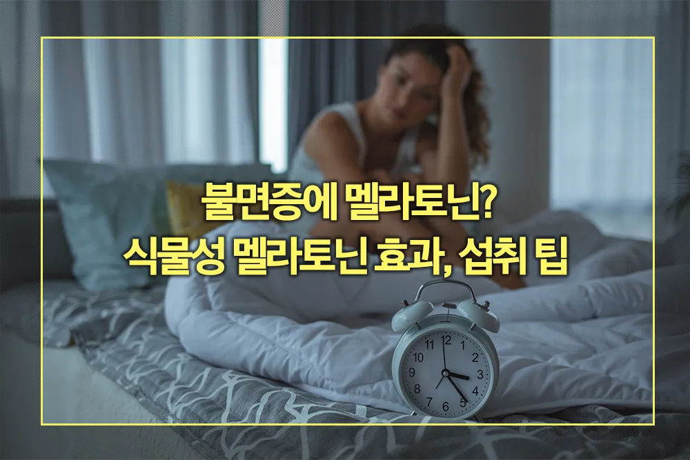 불면증 식물성 멜라토닌 효과 섭취 팁