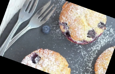 자일로 올리고당 분말 효능 가격