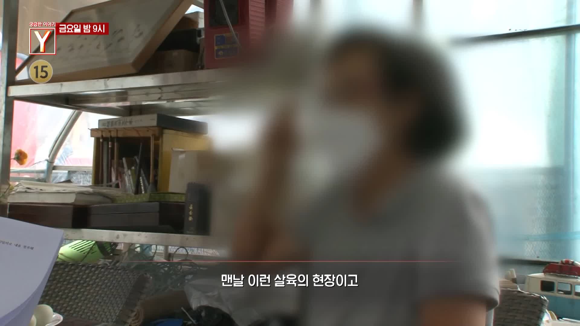 궁금한 이야기 와이 공포에 휩싸인 산골 마을 할머니는 왜 수십 마리의 개들과 위험한 동거를 계속하나