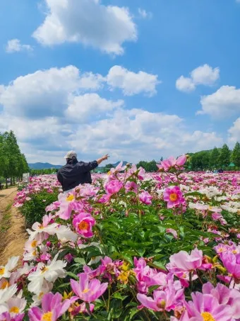 핫들생태공원 합천 산청 진달래축제_23
