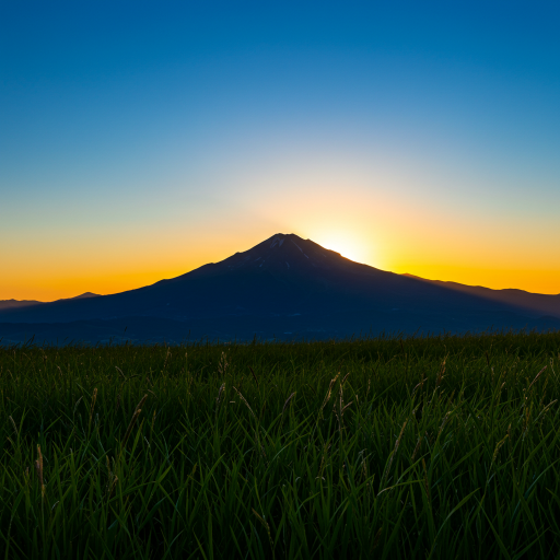 감정을 다스리는 법: 감정 인식과 표현의 중요성
