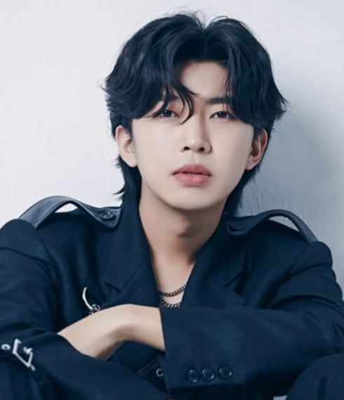 임영웅 - 잊었니