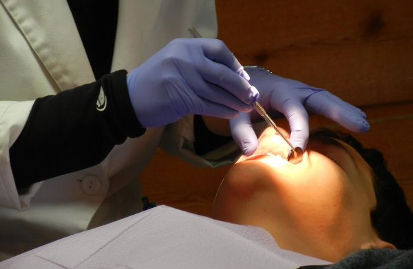 이가탄 가격 성분 효능 사진 6