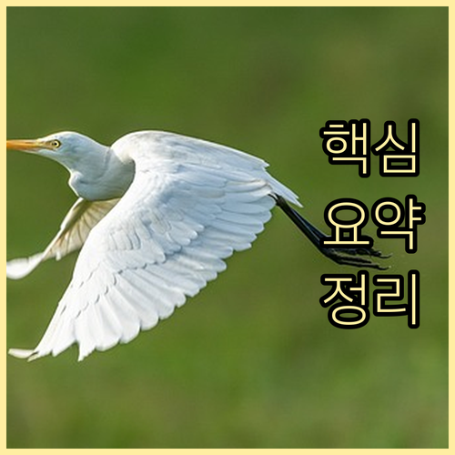 이것 모르면 과태료 갈현동 쓰레기 배..