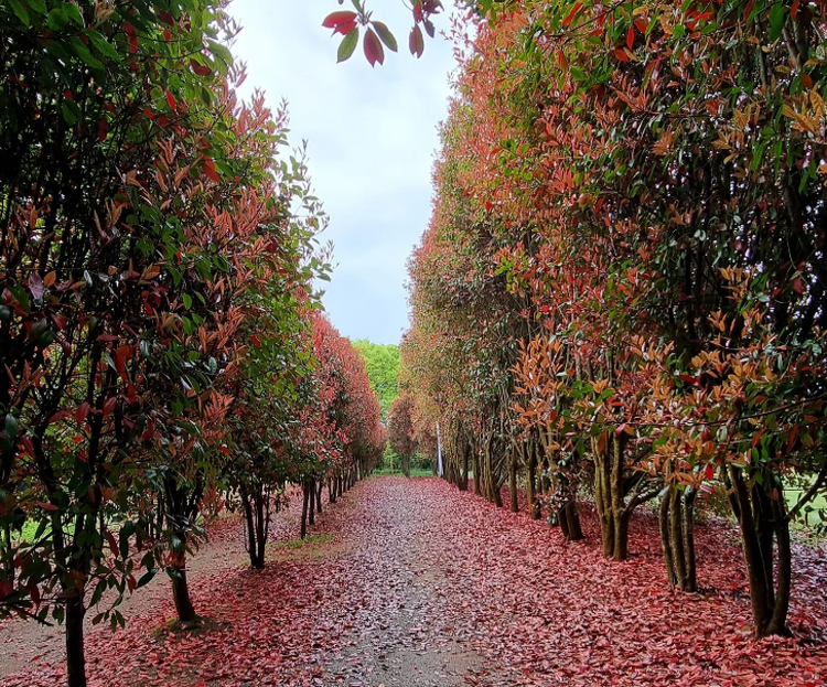 태안 청산수목원