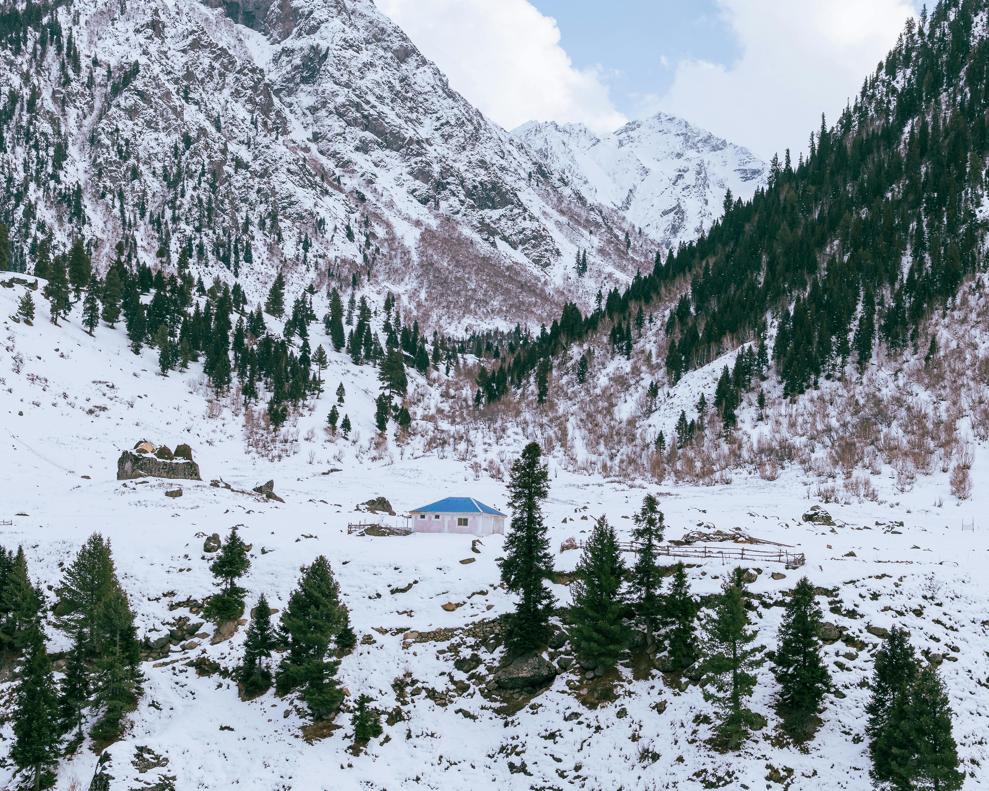 한라산 탐방 예약