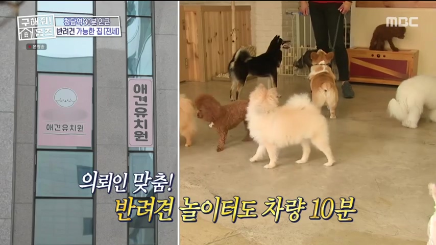 구해줘홈즈 불암산 더 뷰이즈 동물병원 인접 남양주 별내 전세 매매 매물 가격 및 구조 인테리어 리모델링 최종선택 더보이즈 영훈 현재 소개