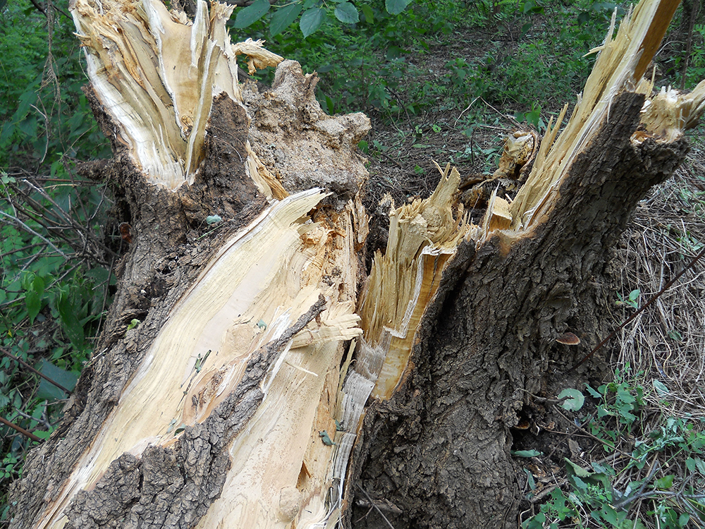 태풍이 지나간 홍제동 고은산(Goeunsan)