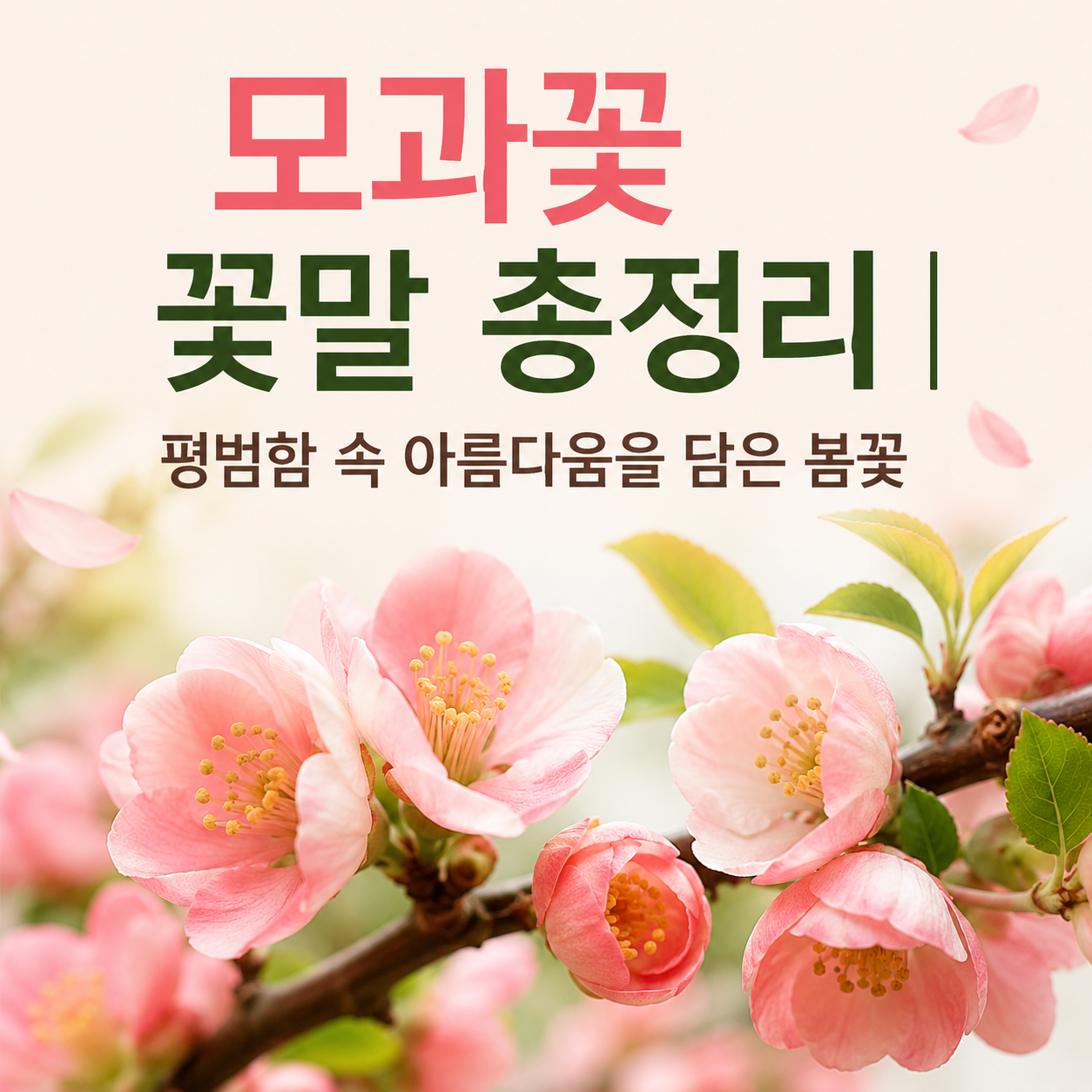 모과꽃 꽃말