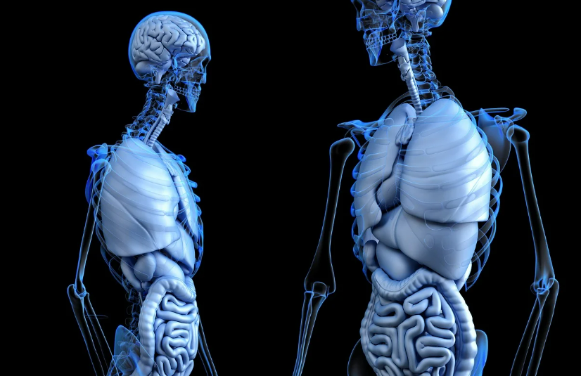 몸이 보내는 이상한 신호 10가지와 숨겨진 건강 의미