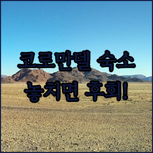 뉴질랜드 북섬 코로만델 숙소 반전 매..