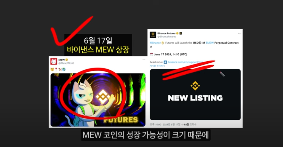 베이비 도지 코인의 급등 이유와 일론 머스크의 영향 ❘ 밈 코인 시장 전망