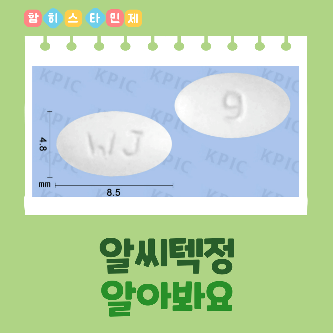 알씨텍정