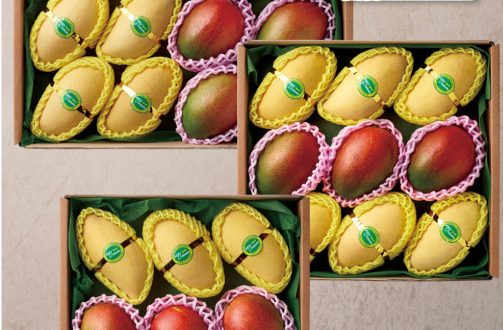 애플망고 세트 이미지