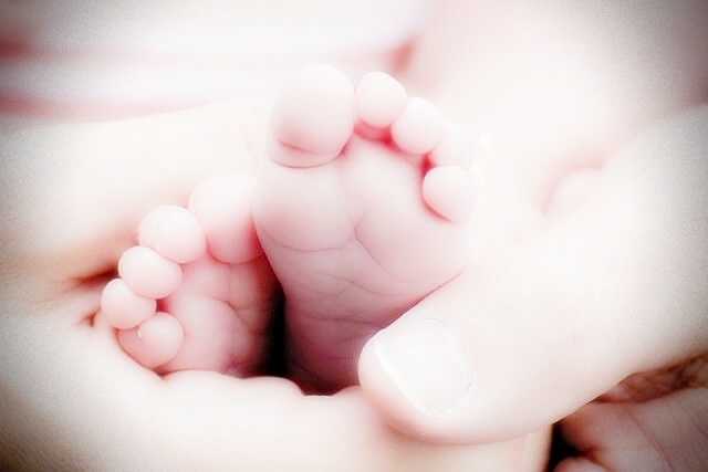 신생아취득세면제