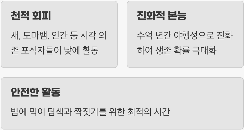 어둠은 나의 방패, '야행성'의 비밀