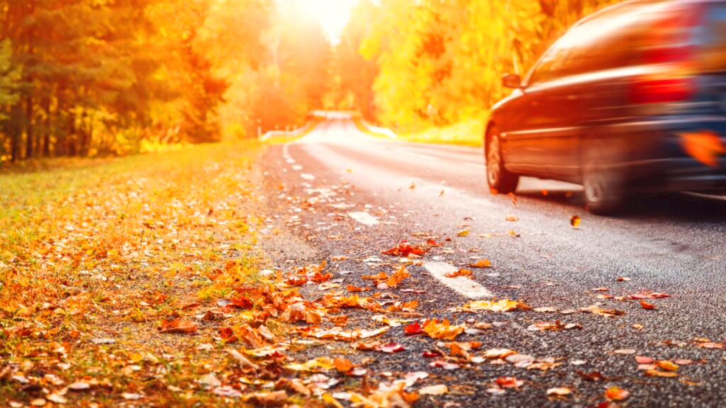 가을 자동차 여행 할인 프로모션