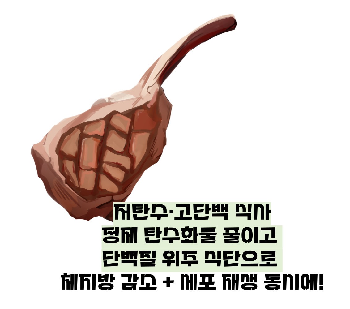 오토파지 다이어트 방법