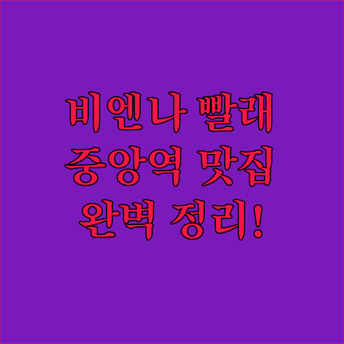 비엔나 셀프 빨래방 이용 방법과 중앙..