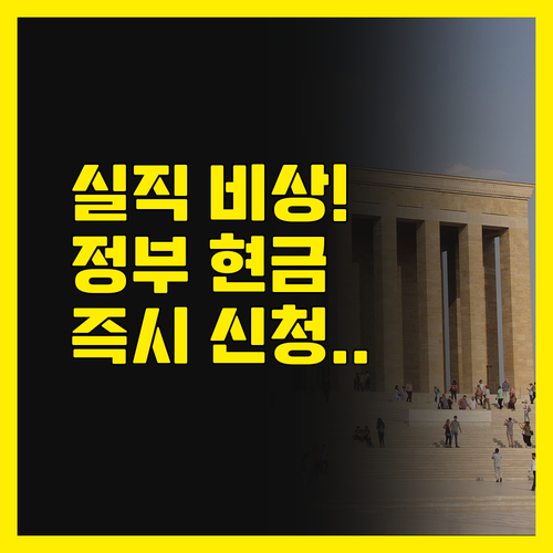 숨겨진 정부 현금 지원금 실직 즉시 ..