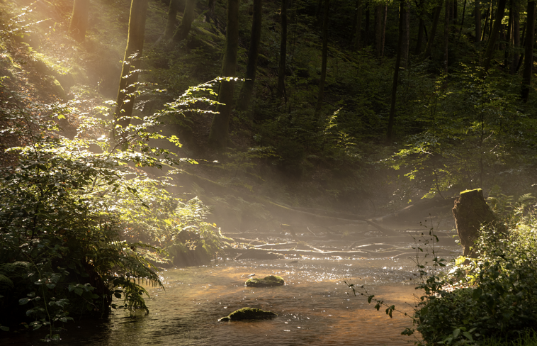 비가 내려 더 아름다운, 여름날의 감성 여행지 3선
