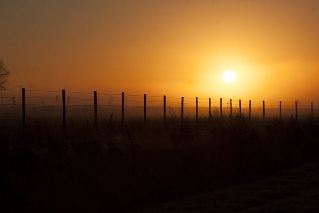 겨울 해지는 모습