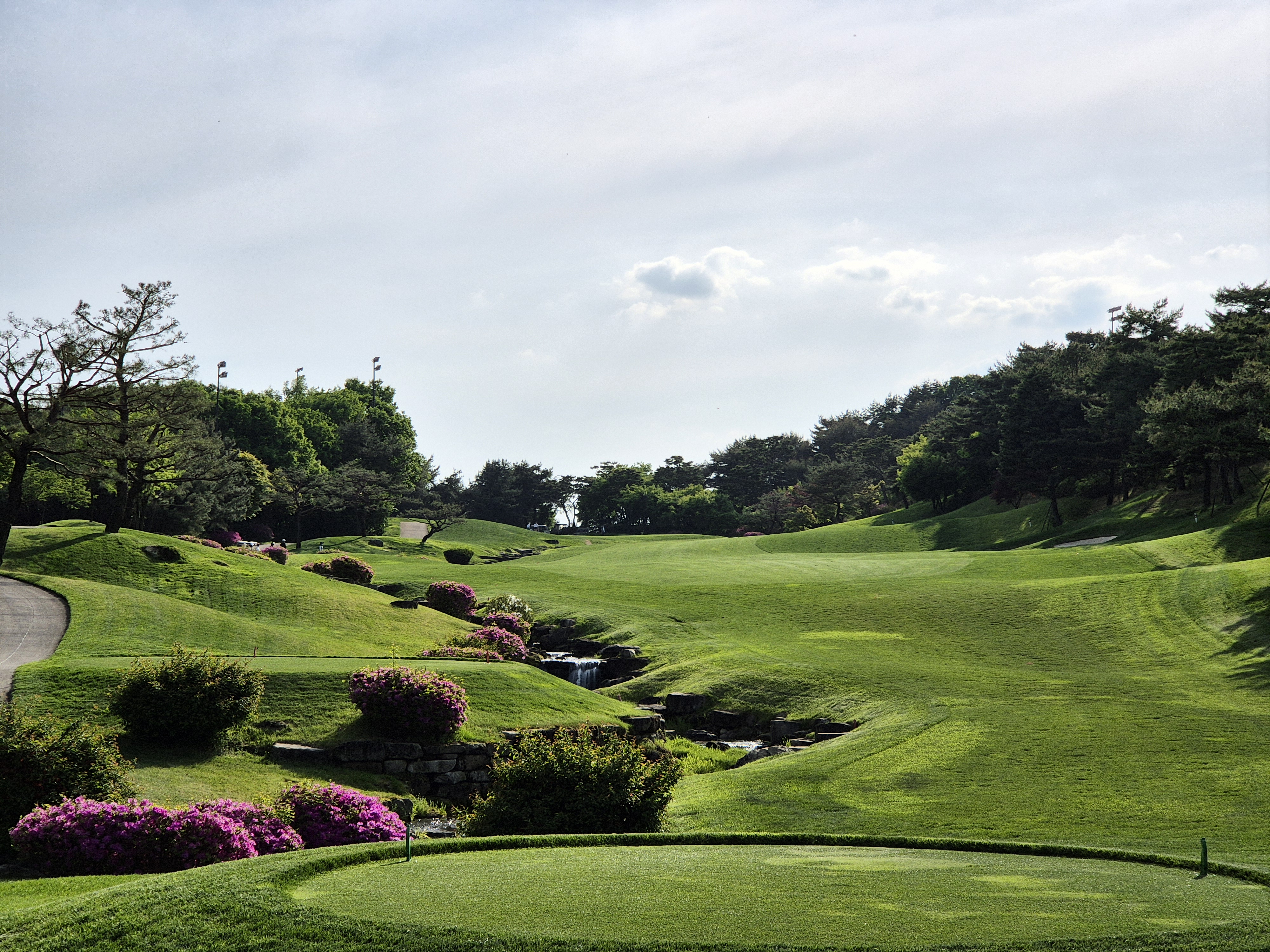 베어크리크cc 크리크코스