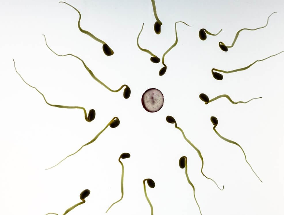 임신초기증상
임신확인방법
임신초기입덧
임신초기화장실