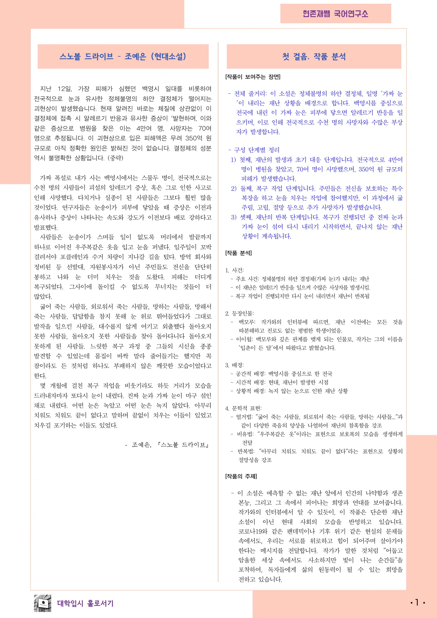 스노우볼드라이브_전문_자료_분석