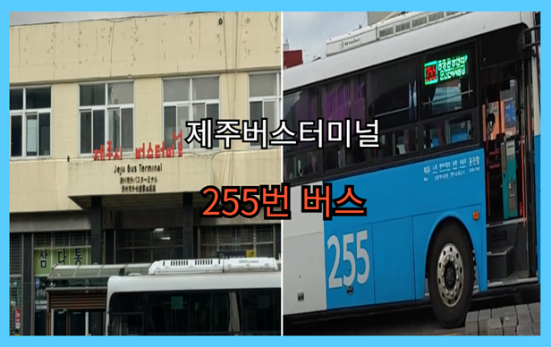 송악산 마라도 배시간표 예약 방법 - 제주시 출발