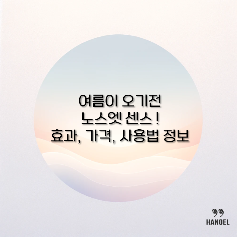 노스엣 센스