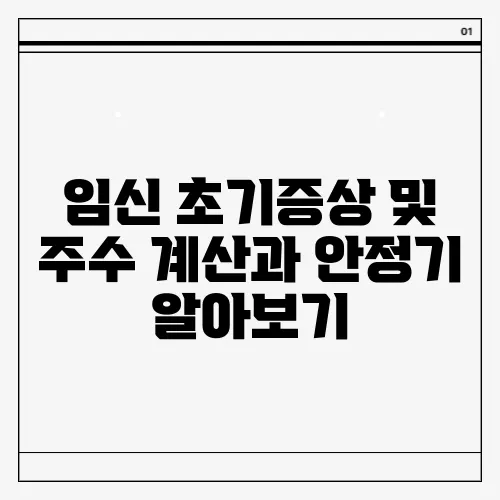 임신 초기증상 및 주수 계산과 안정기 알아보기