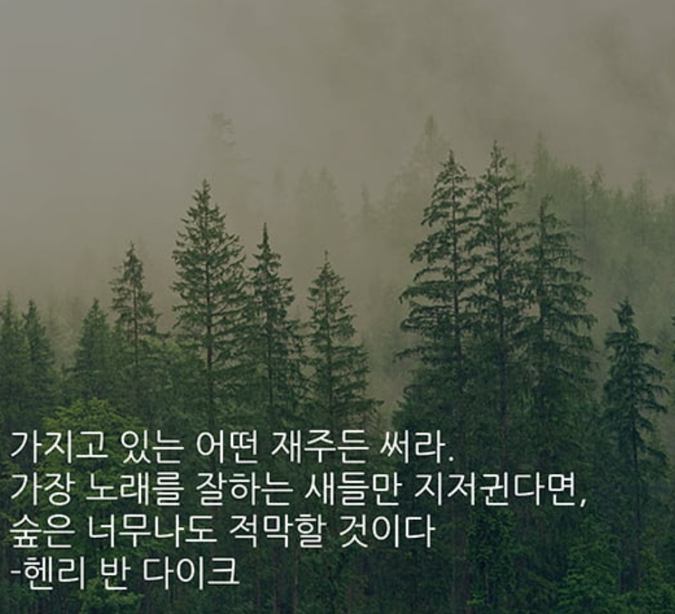 한줄 명언 모음